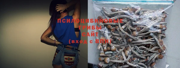 Альфа ПВП Михайлов