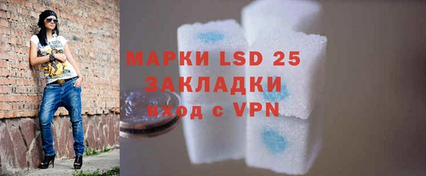 стафф Михайловск