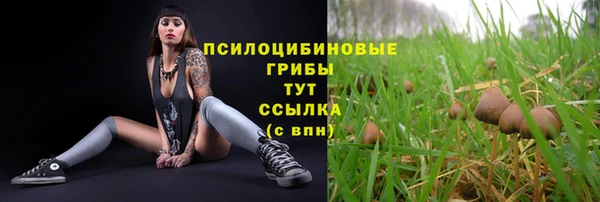спайс Михайловка