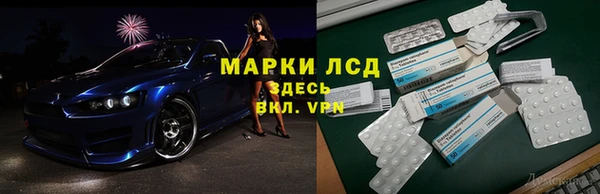 стафф Михайловск